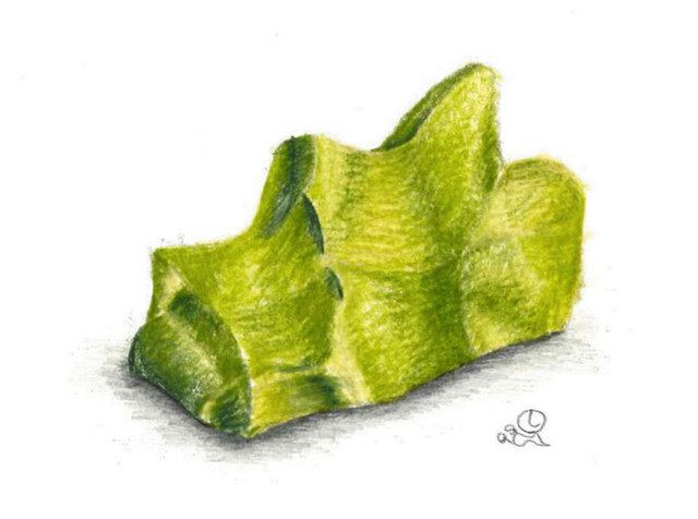中村雅之 和菓子の芸心 高麗餅 大阪市 菊壽堂 贔屓役者にあやかって 東京新聞 Tokyo Web