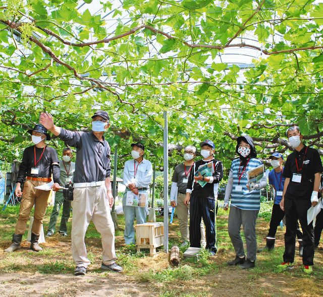 農産物ふれあい 親しんで 秩父 将門園で体験会 23日と来月5日も開催 東京新聞 Tokyo Web