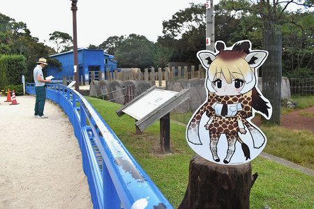 千葉市動物公園が人気アニメ けもフレ とコラボ 謎解いてフレンズ缶バッジ 東京新聞 Tokyo Web