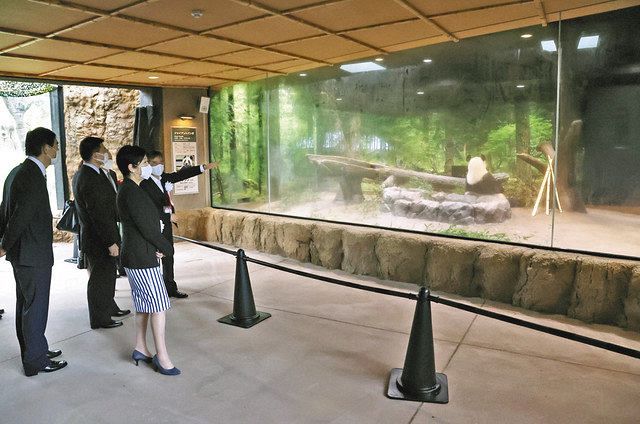 上野動物園 パンダのもり 緑に囲まれた開放的な空間 きょう一般公開 東京新聞 Tokyo Web