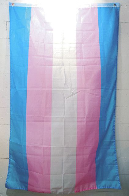 レインボーだけじゃない 性はいろいろ プライドフラッグ 東京新聞 Tokyo Web