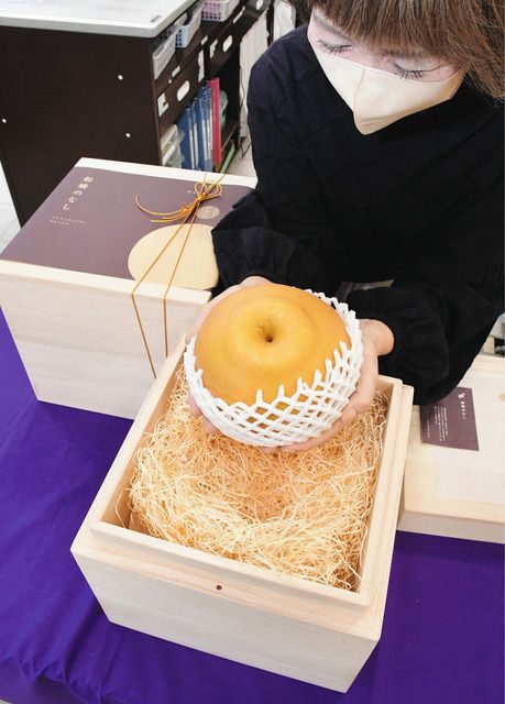 特大サイズ 桐箱入りナシ登場 1箱1万円 船橋産のブランド化狙う 品種は