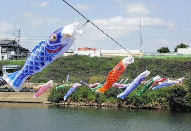 こいのぼり60匹 再び空へ 志木の親水公園で5年ぶり 園内にはつるし飾り