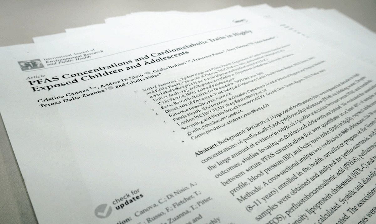 PFASの摂取許容量、「最重要」文献を大量不採用にして決めていた 政府