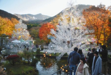 ガラスのツリーに復興への思い託し 世界唯一 箱根ガラスの森美術館に登場 東京新聞 Tokyo Web