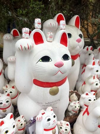 豪徳寺と招き猫｜大谿山 豪徳寺