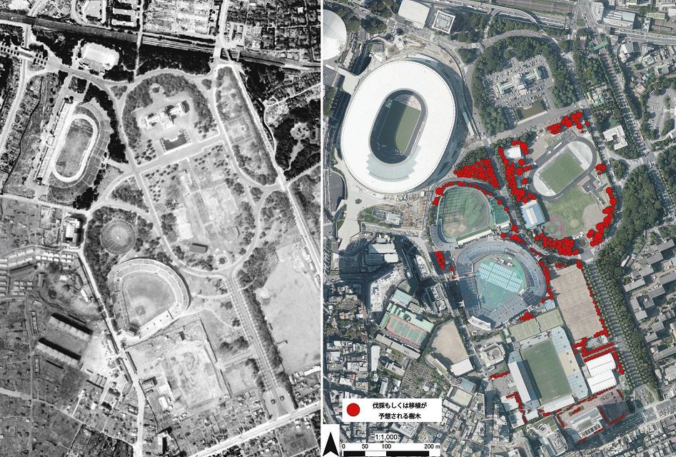 (Left) The outer garden of the Shrine after the war. It turns out that many trees escaped the war = taken around 1945-50, courtesy of the Geographical Survey (right) in what is now Jingu Gaien.The red markers are about 1000 trees that may be felled or transplanted = created by the Green Infrastructure Laboratory of the Research and Development Institute of Chuo University