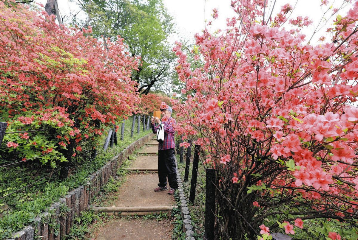 稲荷山 公園