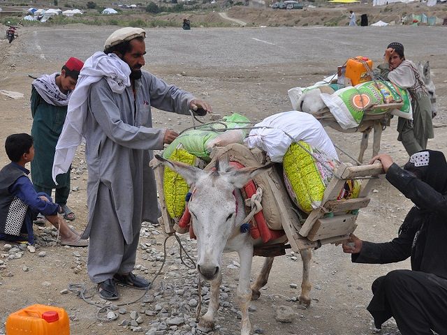 ﻿アフガニスタン東部パクティカ州で7月23日、配布された食料をロバに積み込む男性＝AAR提供