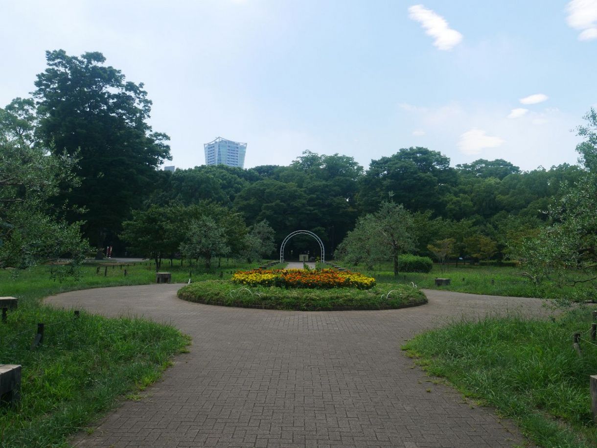 代々木公園【渋谷区】歴史スポット満載な森林公園でパンをぱくり。休日はのんびりピクニック 〜ぐるり東京 街さんぽ〜:東京新聞デジタル