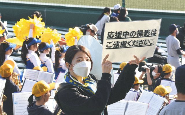 甲子園でチア部員を盗撮？記者も遭遇 被害相次ぎ、半ズボンの衣装も