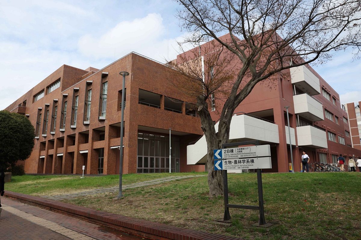 茨城 県 国立 大学