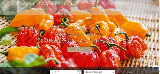 香辛子を川崎から全国へ トウガラシ新品種のｈｐ開設 東京新聞 Tokyo Web