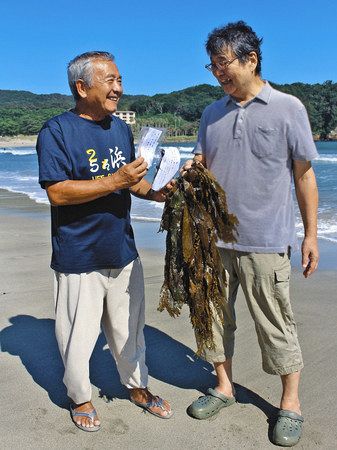 話 人 まち 厄介者 が食用に 南伊豆の海藻 カジメ 東京新聞 Tokyo Web