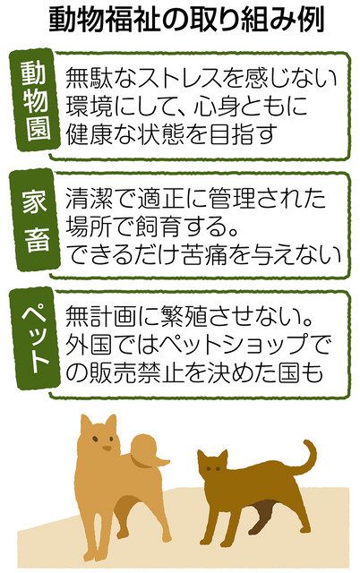 くらしの中から考える＞動物福祉：東京新聞 TOKYO Web