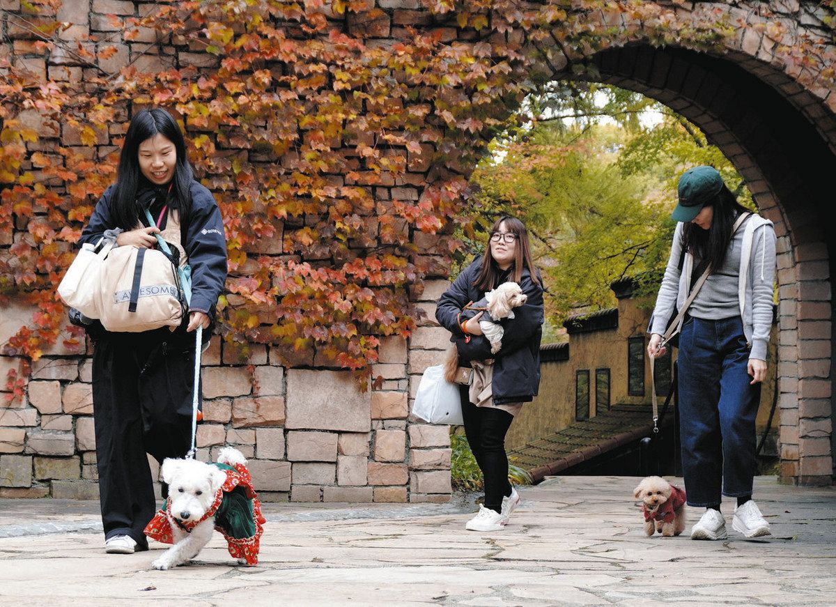 ペットツーリズム市場、急成長 「旅は愛犬と道連れ」PR 群馬県が 