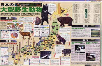 日本の大型野生動物 No 651 東京新聞 Tokyo Web