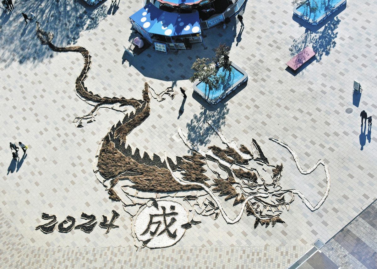 新年 縁起担ぎに行こう 辰の地上絵など茨城県内各地でイベント：東京新聞 TOKYO Web