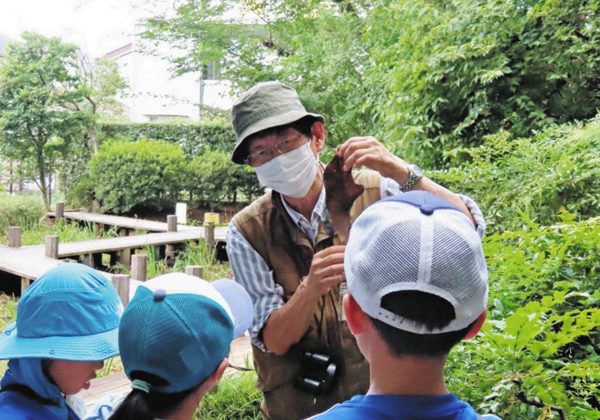 昨夏に実篤公園で行われた自然観察会の様子＝いずれも調布市で（武者小路実篤記念館提供） 