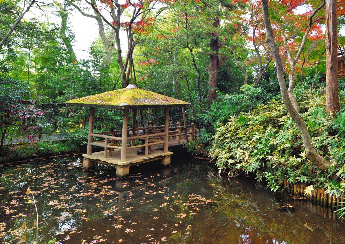実篤は「水のあるところに住みたい」と湧き水の出る池の近くに自宅を建てた 