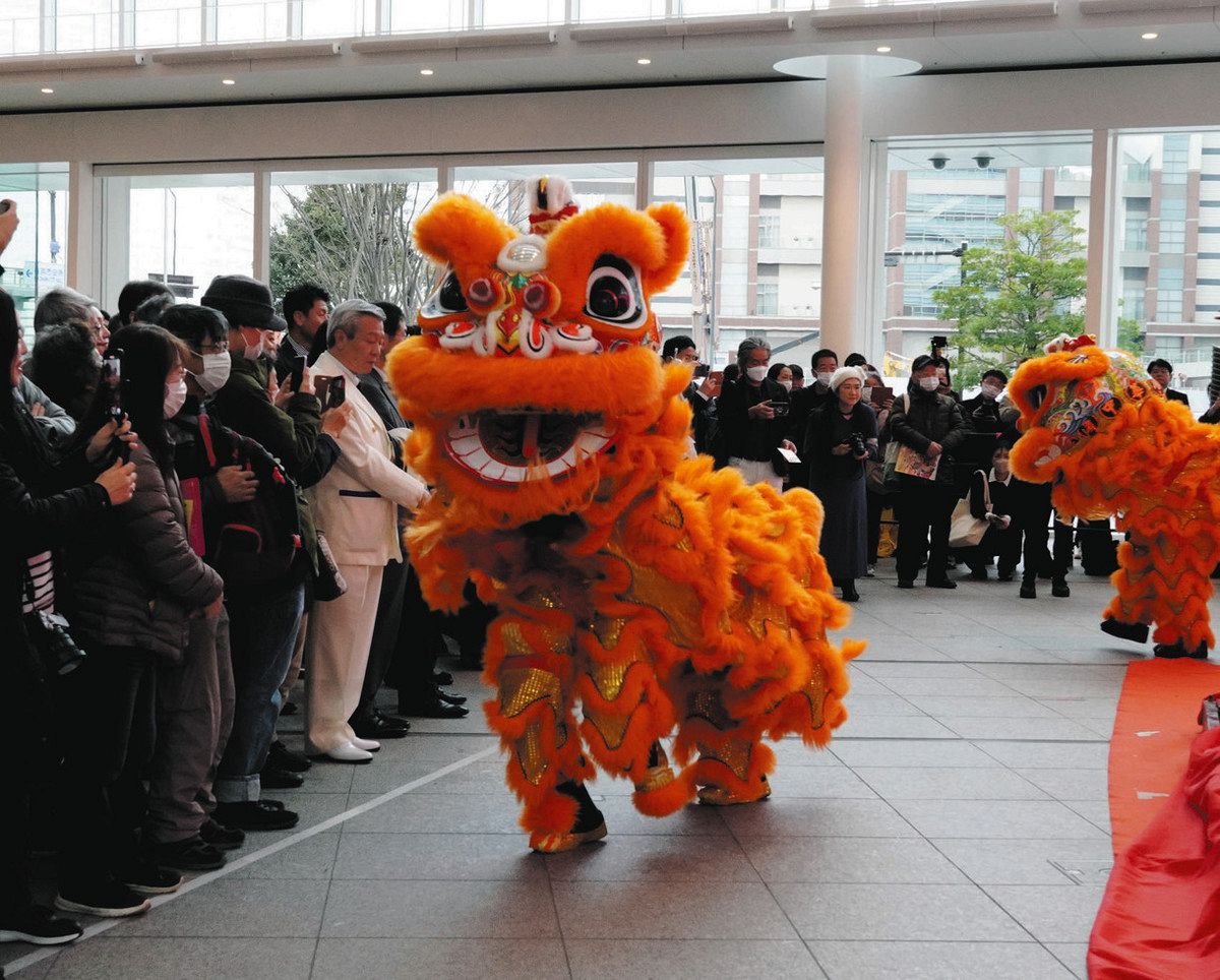 横浜春節祭」開催 亀や龍の福を呼ぶランタンオブジェ、市内外32カ所に