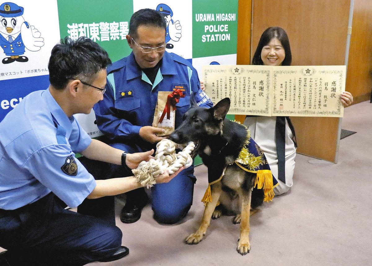 浦和東署が感謝状 初任務の嘱託警察犬バド号 靴のにおいで不明女性発見 