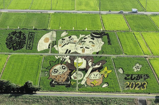 比べてみたら＞田んぼアート（上）：東京新聞デジタル 