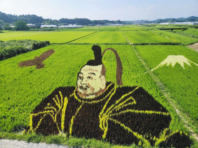 油絵 絵画 【田舎の田んぼ】 油絵 絵画 【田舎の田んぼ】