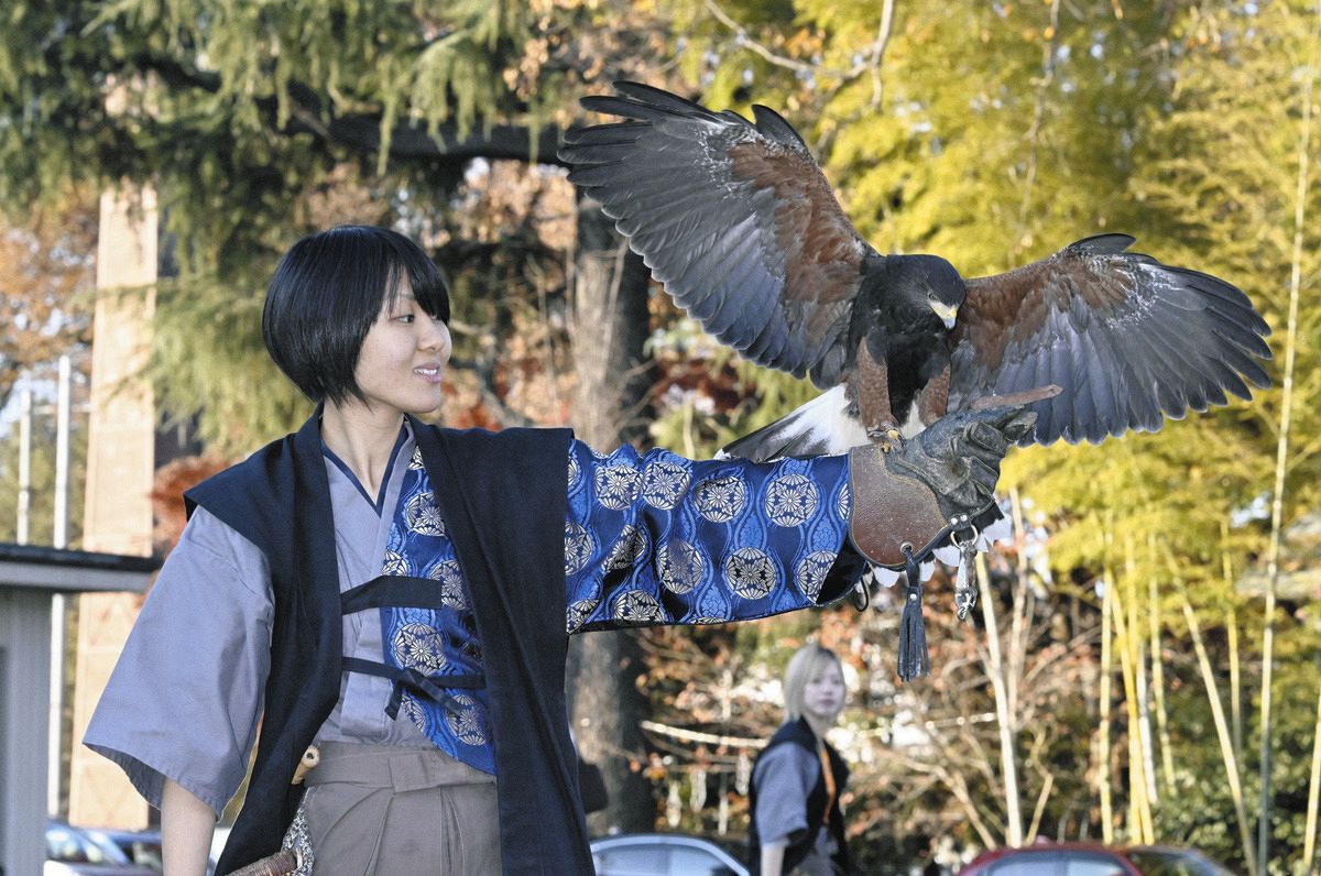 埼玉に「鷹匠」姉妹がいた 伝統のタカ狩り技、ショーや鳥害駆除で活躍