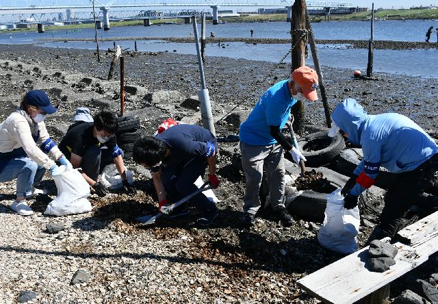 江戸川放水路の河川敷に放置されたカキ殻を回収する人たち＝千葉県市川市で