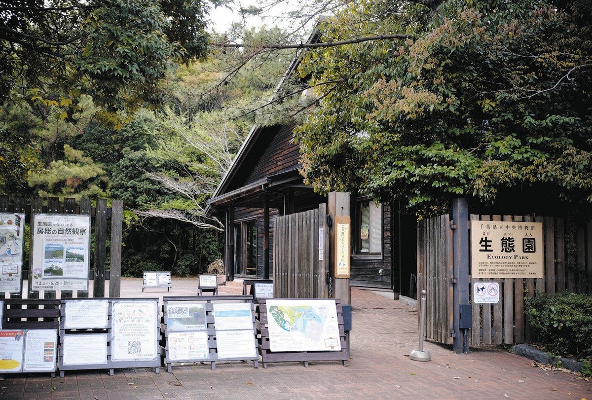 【中古】 大阪学２１世紀編/葉文館出版/朝日新聞社 中世王朝物語の新展望 時代と作品 横溝博・金光桂子 編 | 花鳥社