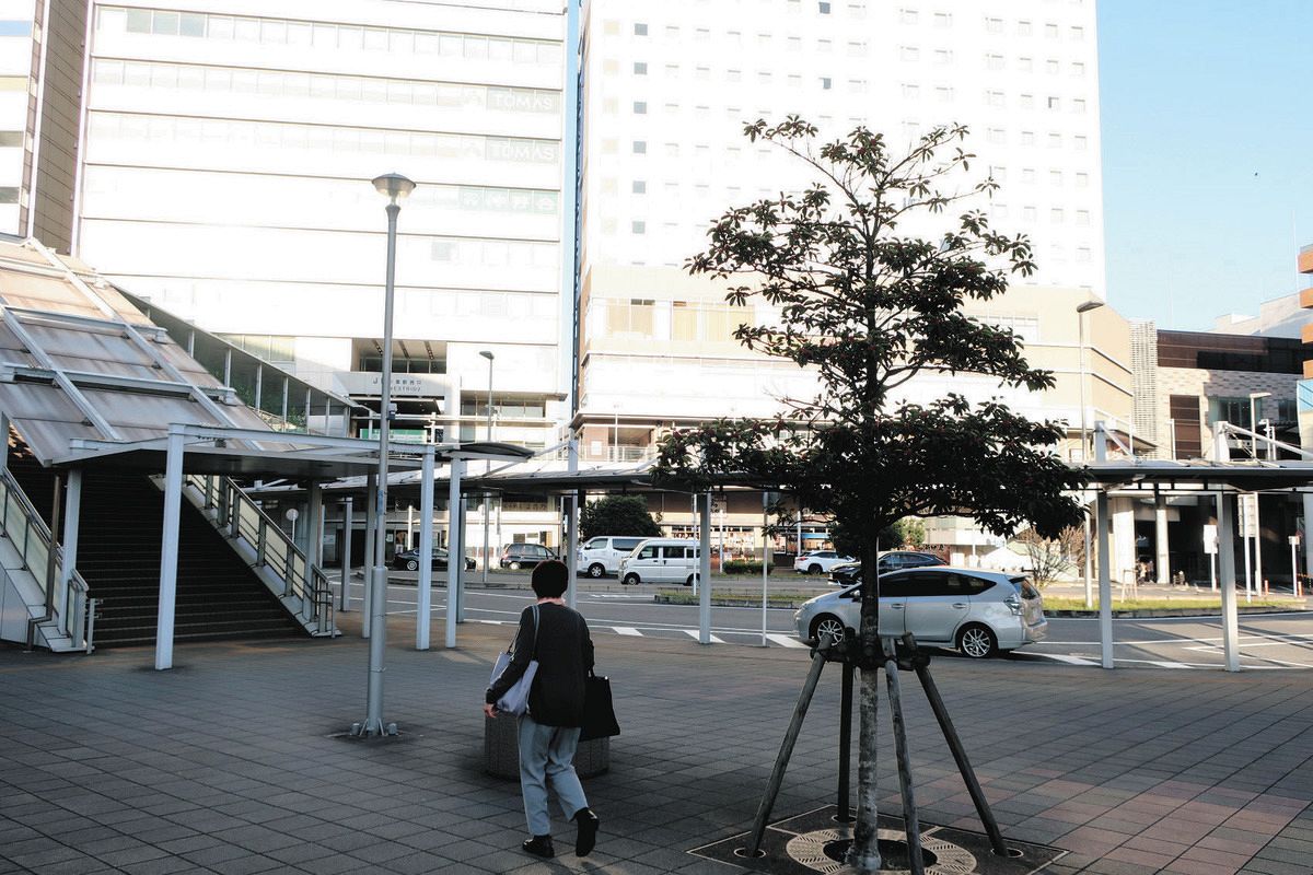 10月25日未明にイノシシが目撃された千葉駅西口ロータリー