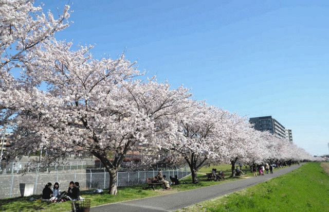 八千代市 助けて ネットで資金募る 東京新聞 Tokyo Web