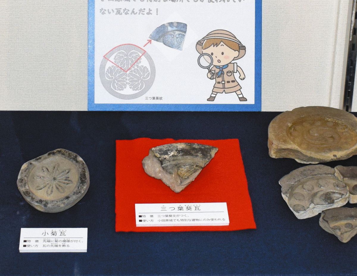 小田原の小学校に縄文土器の「お宝」が眠っている！ 収蔵品を集めた企画展に「高校生研究者」が携わった：東京新聞デジタル