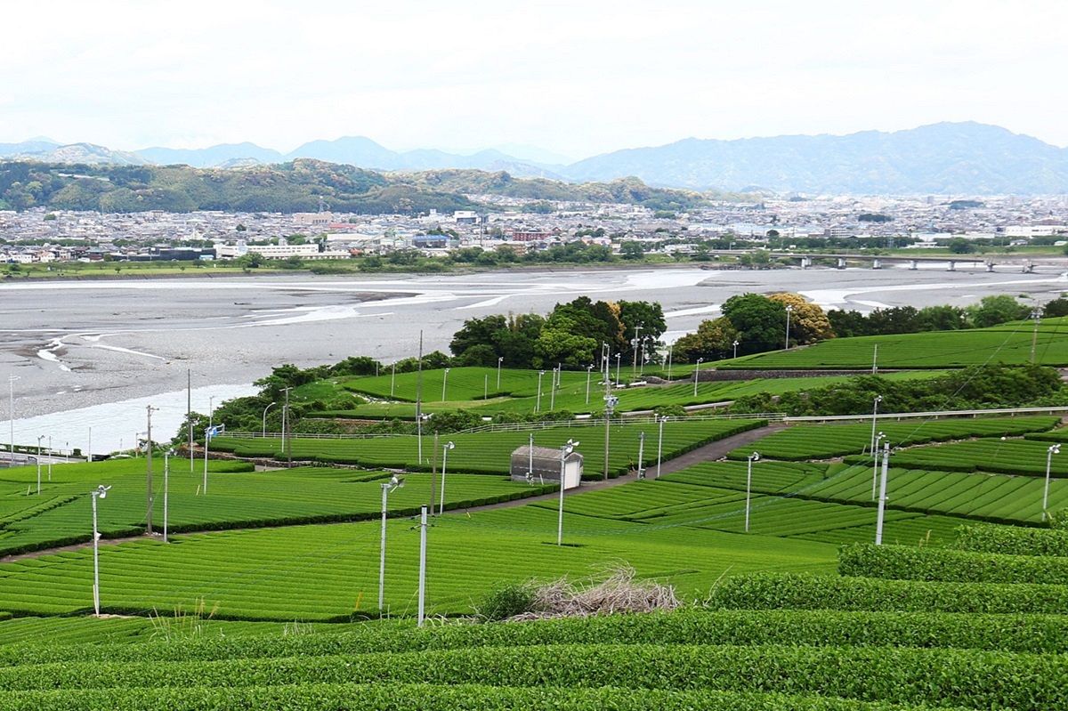他県にない対策、JR東海に認めさせた」けど安心してはいられない 着工