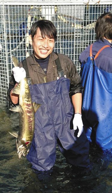 楢葉町を流れる木戸川でサケの採卵事業を手伝った森雄一朗さん
