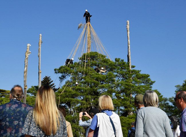 ○金沢兼六園 加藤力 金蒔絵テレカ