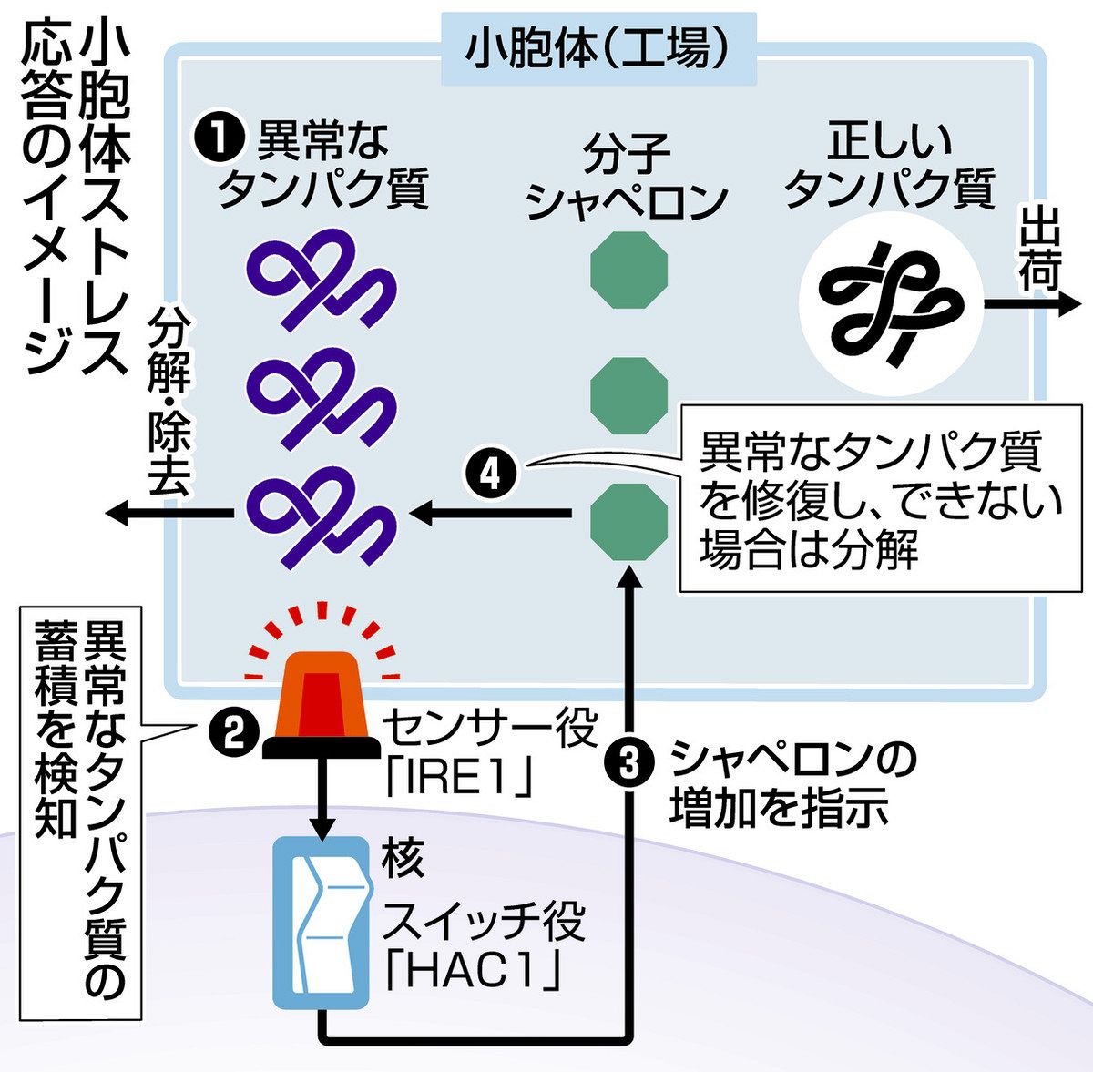 森 トップ 和俊 本