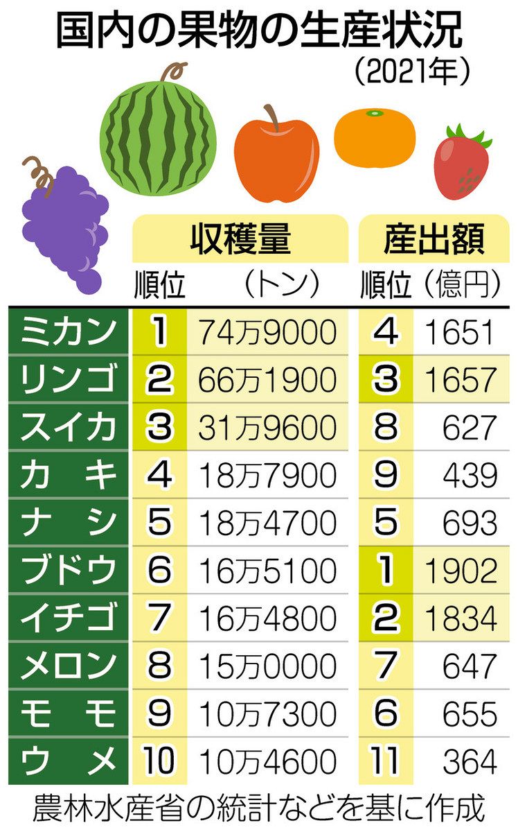 くらしの中から考える＞国内の果物の現状（みんなの声）：東京新聞