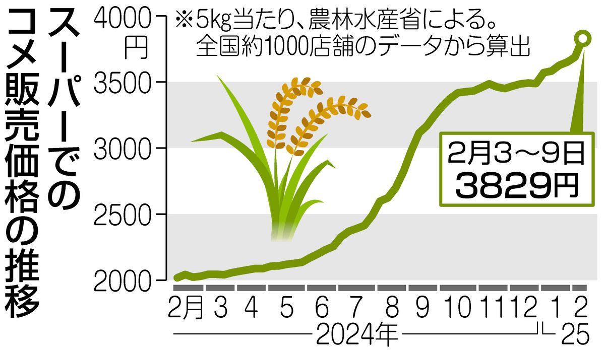 コメの価格高騰は、子どもの「胃袋」も「未来」も苦しめる…子育て世帯から悲鳴「我慢ばかりさせている」：東京新聞デジタル