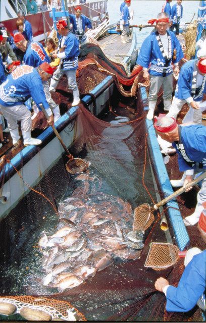 目指せ 47都道府県 コンパスの民謡紀行 広島 鞆の浦鯛網大漁節 の巻 東京新聞 Tokyo Web