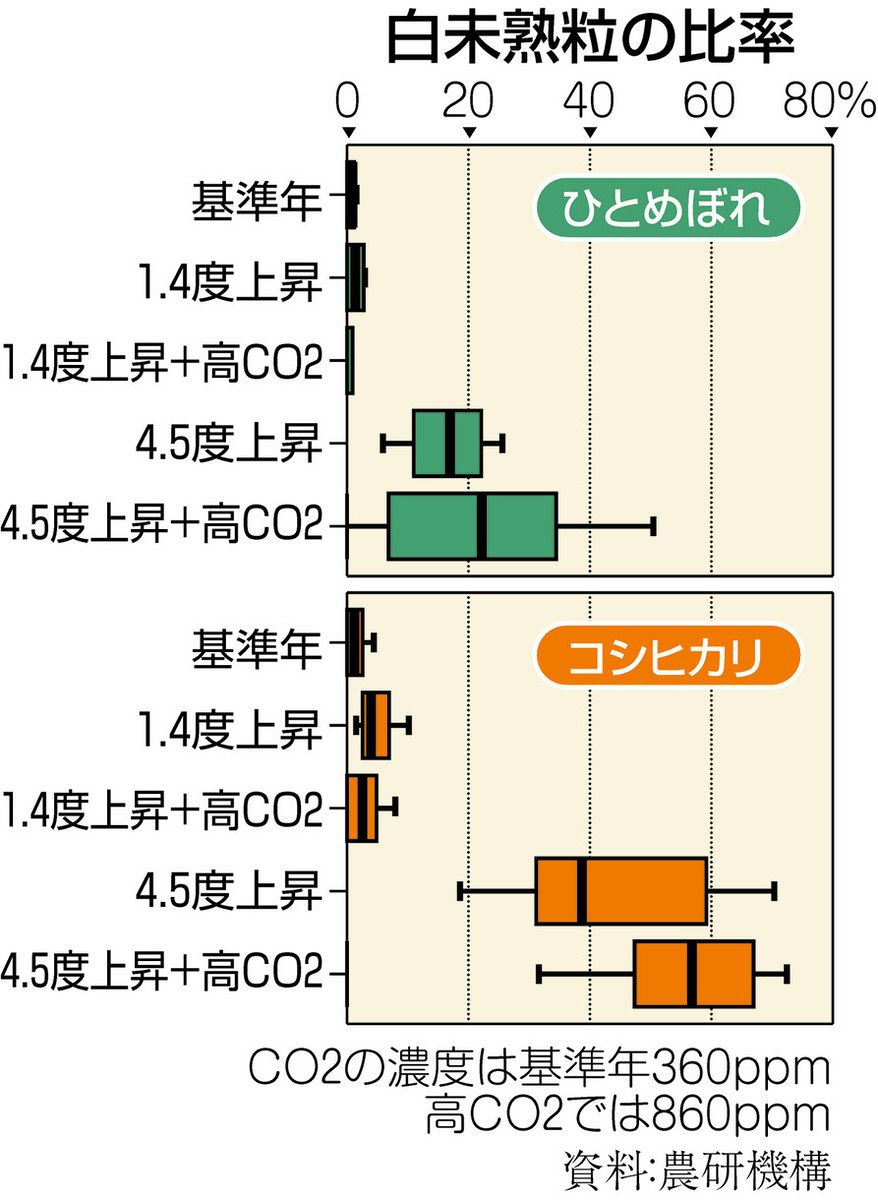 フロンティア発＞温暖化に強いコメ 開発急務：東京新聞デジタル