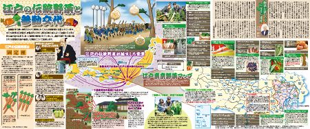 江戸の伝統野菜と参勤交代 No 1421 東京新聞 Tokyo Web