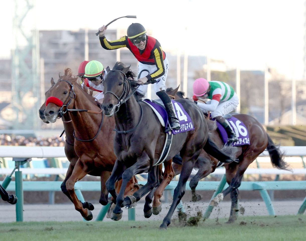 有馬記念 ミュージアムマイルが鮮やかに差し切り優勝！：東京新聞デジタル