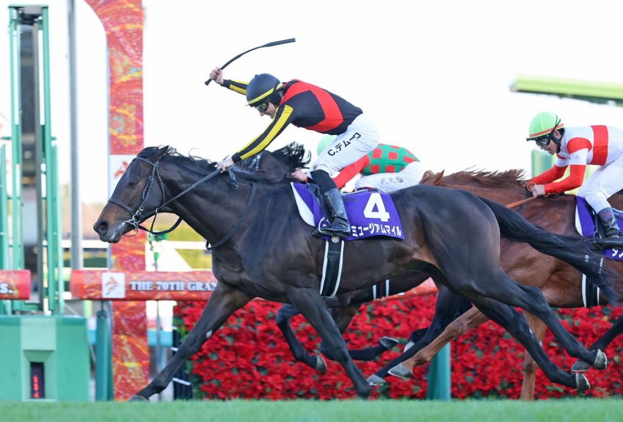 有馬記念 ミュージアムマイルが鮮やかに差し切り優勝！：東京新聞デジタル