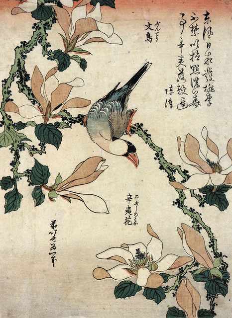 北斎らの鳥づくし 墨田の美術館で100点余り展示：東京新聞デジタル