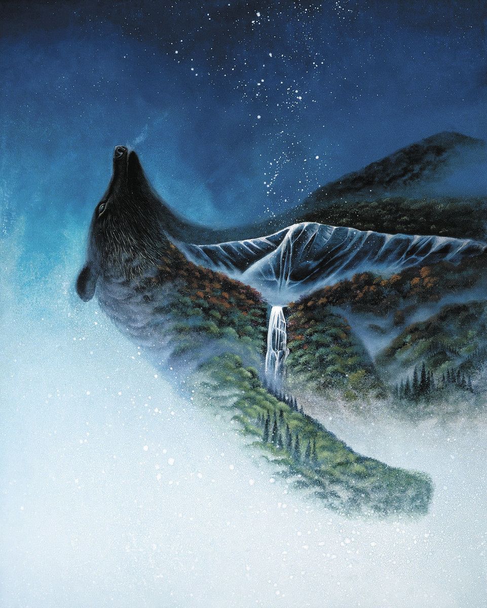 【美品】映像を中心に写真や絵画で活躍する現代アーティストの幻の展示会作品集 行ってみたら＞自然といのち 現代アート展 天王洲 WHAT MUSEUMで開催中