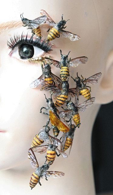 昆虫と花とイチゴ ヴィンテージ ステンドグラス 蜻蛉 ミツバチ 蝶々 昆虫物語みなしごハッチ – ROMANs Official Site