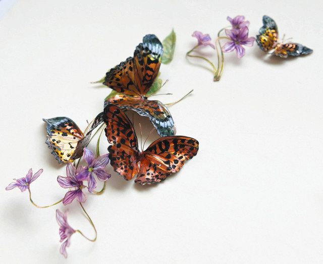 花が！チョウが！ 魅惑のまつげ 高尾山の生き物表現 八王子の