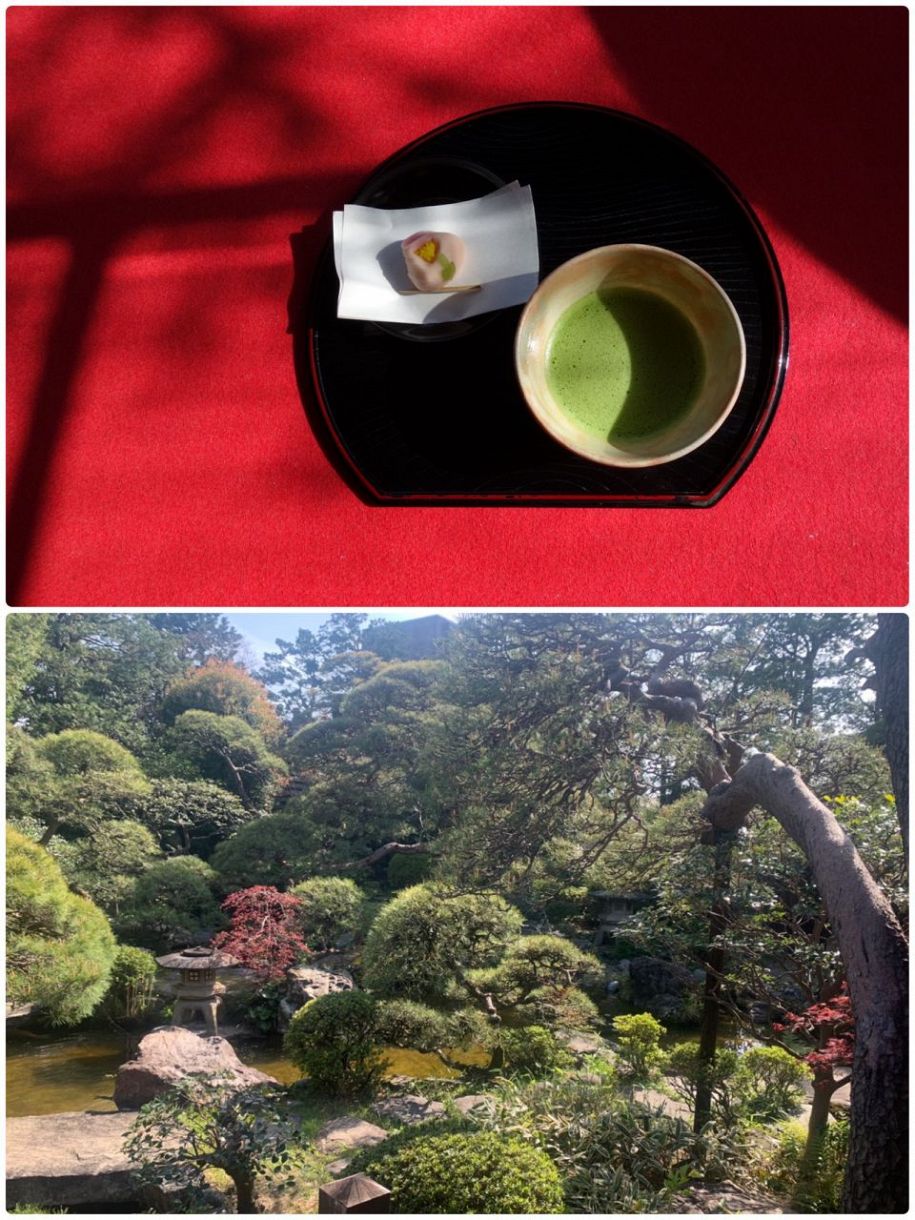 ＜上＞お抹茶和菓子付（600円）＜下＞松やツツジが植えられた庭園。耳を澄ますと滝の音が